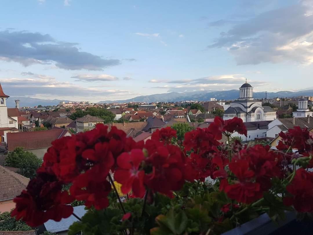 דירות Sibiu Bach Penthouse מראה חיצוני תמונה